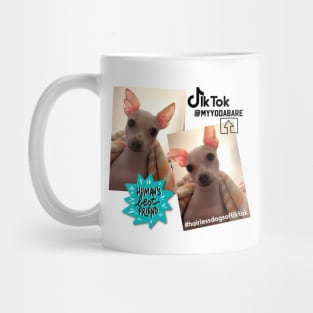 Yoda, the bare pup! Mug